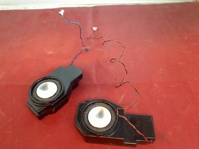 Speaker Boxes Sound Audio R & L Set Toshiba Qosmio G20-105