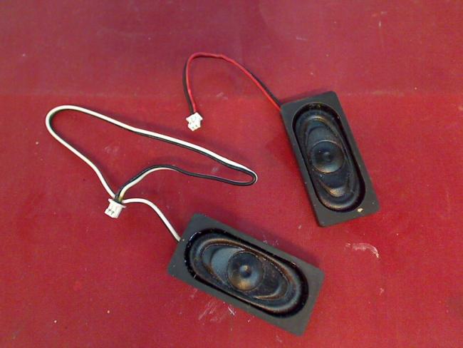 Speaker Audio Sound Boxes R & L Cable Clevo D9C D901C