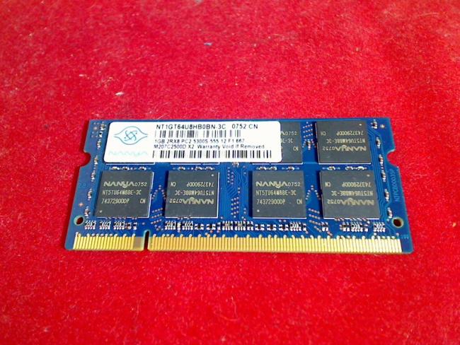 1GB DDR2 PC2-5300S NANYA SODIMM RAM Memory Acer Aspire 2920Z