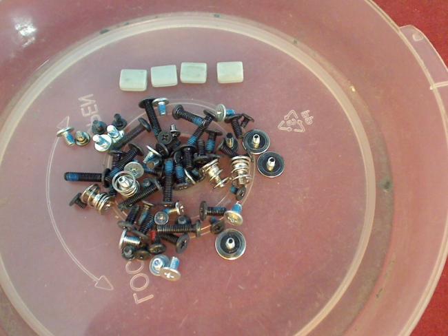 Screws Set & Display Rubber Pads Acer 7520G ICY70 (3)