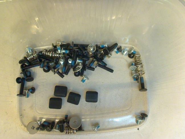 Screws Set & Display Rubber Pads Acer 7520G ICY70 (6)
