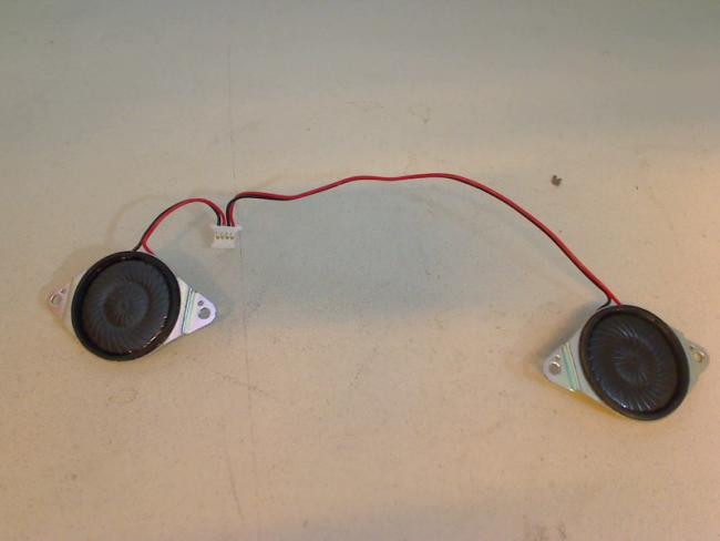 Speaker Boxes Sound Audio R & L Asus A9RP